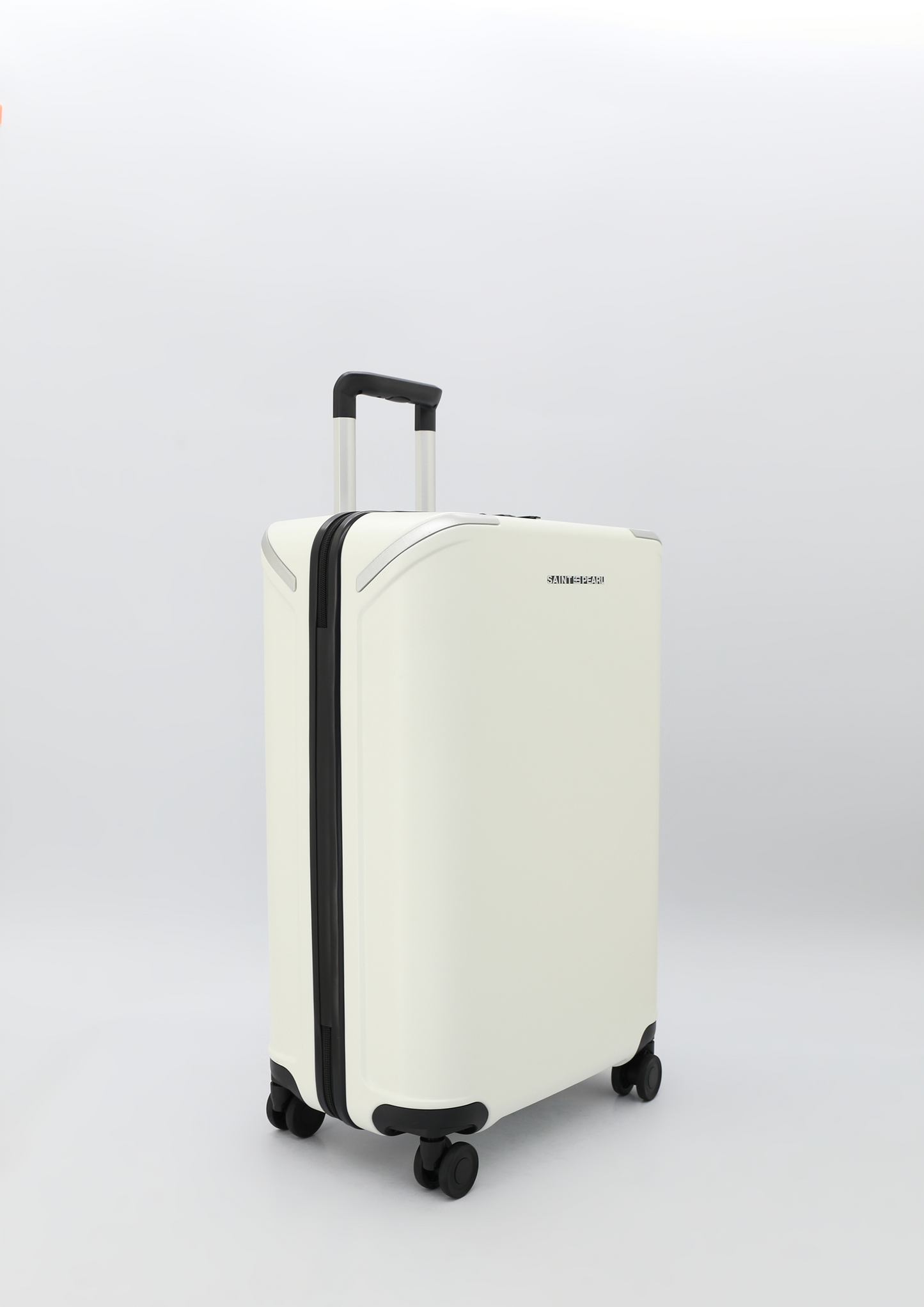 Desa leather luggage