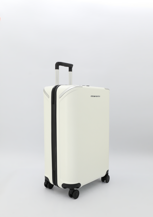 Desa leather luggage