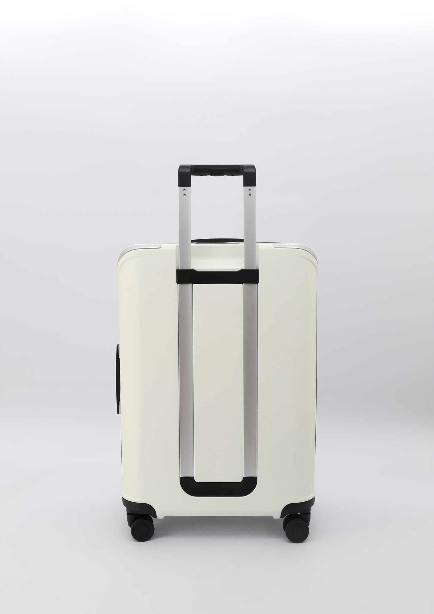 Desa leather luggage