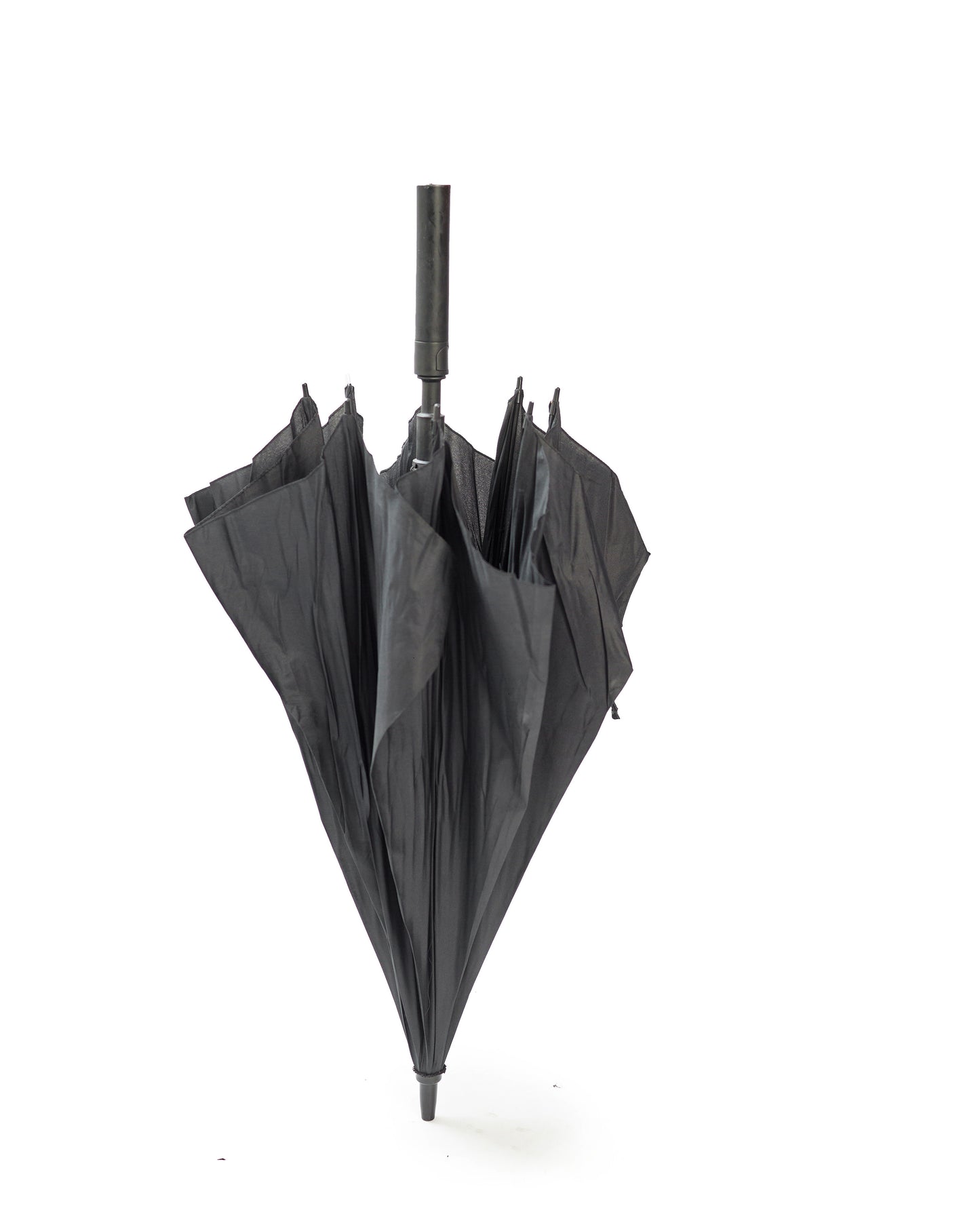 Bella umbrella
