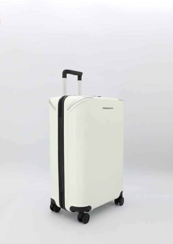 Desa leather luggage - Image 4