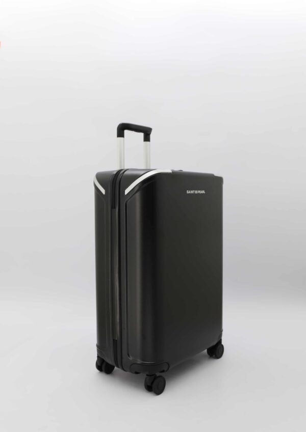 Desa leather luggage